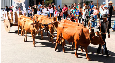 Foto/Prefeitura de Itu